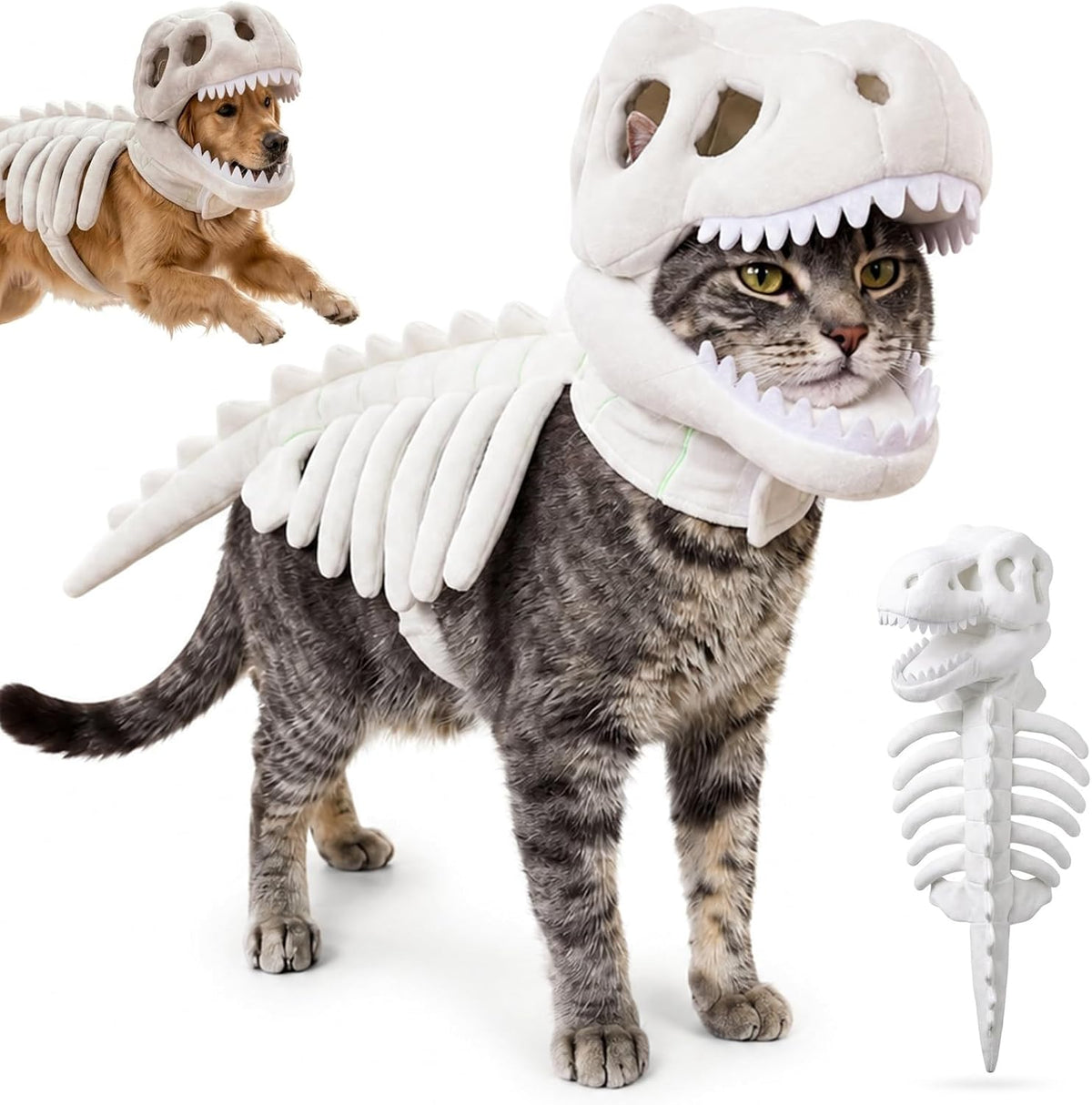 Pawzillaus